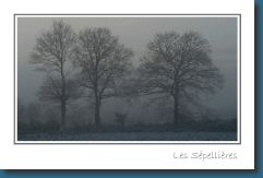 Postkarte Frankreich2.jpg